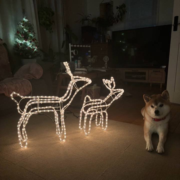 7c976b56 e793 49a9 84c5 d1902d1a0e09 1763262751584