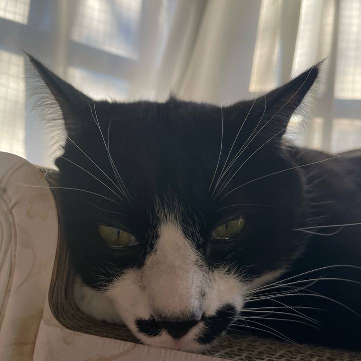 7c97714b 3342 44df 8080 0faf1522b722 1672442947749