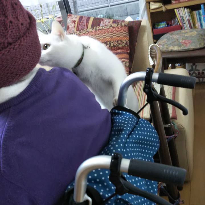 7c977b61 9f44 495d 9c31 78e045d2fc91 1639446600567