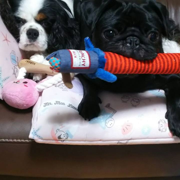 7c97a404 ced7 4d81 b8f1 64715497a98c 1533821054224