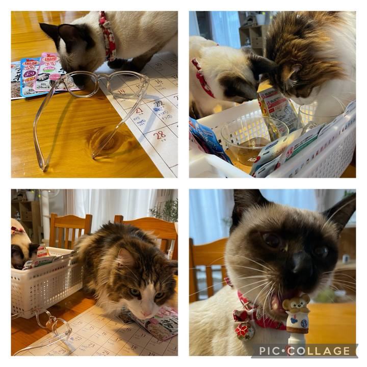 7c97ab90 0876 4445 a702 f2127d326186 1705215447395