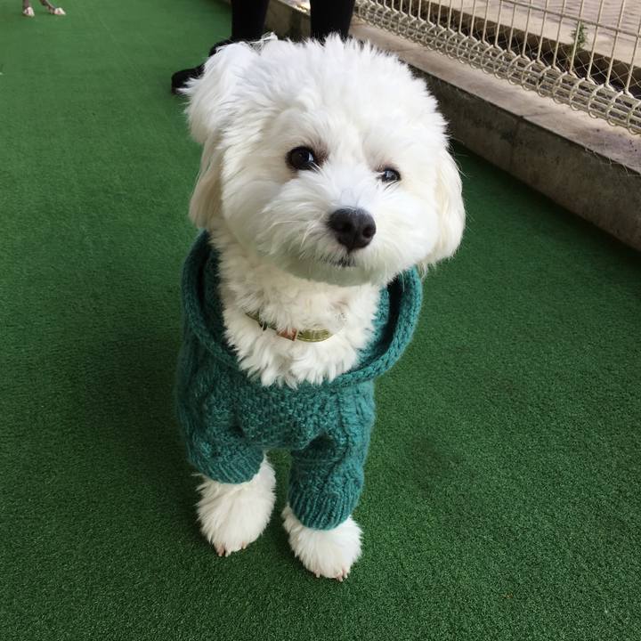 7c97ceb1 ed77 4ea7 b315 d016a2aa0933 1510717776914