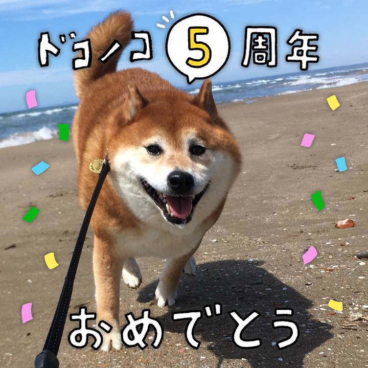 7c97f134 0dbe 452b b26b 60768f9739b1 1623067647753