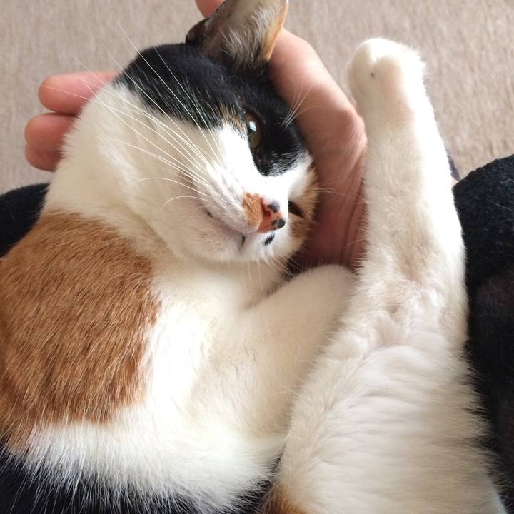 7c980fda 2b1a 41d7 a72f f2e158d20dd0 1519119677407