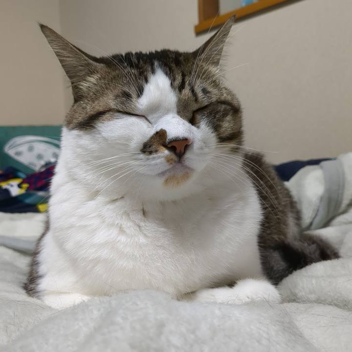 7c986170 349b 498d 80e3 fc062ad4444e 1669719789048