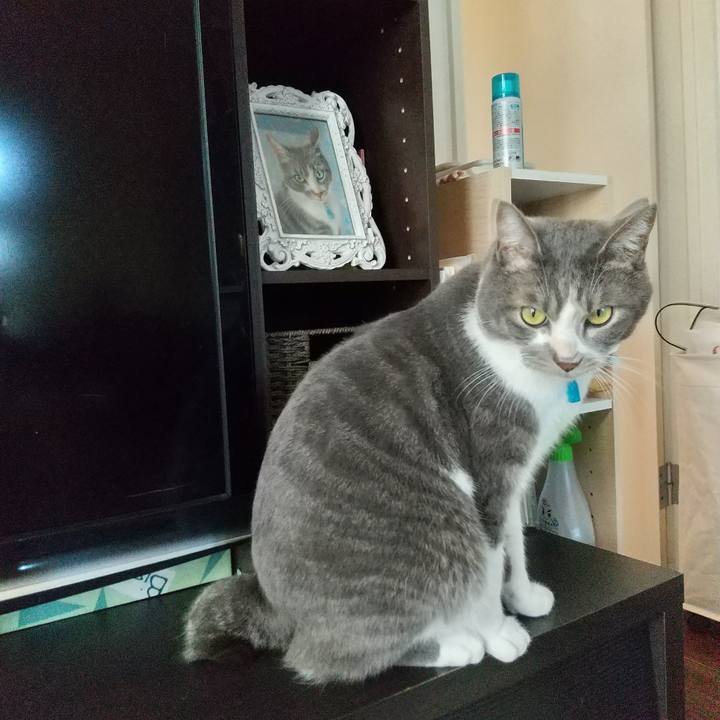 7c98618e 0676 4450 8817 5fb7b27d8f50 1608946785182