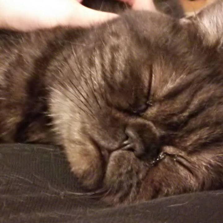 7c98a3c1 b016 4452 9d60 5ddc08acfa22 1540085771004