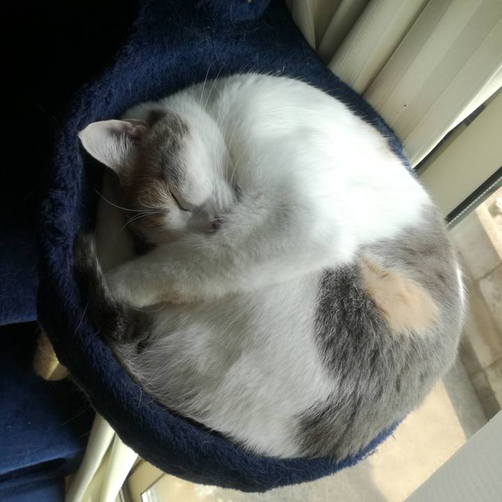 7c98b9d9 b7f1 46b3 81c7 7f867ef3ebfd 1552726687610