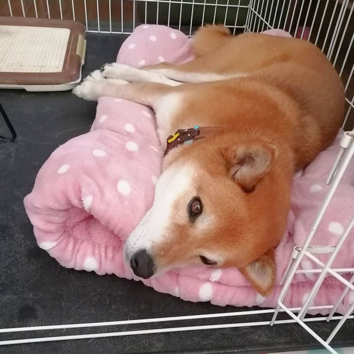 7c992a71 9d12 4a61 b65b 6ce26e53984e 1647067105838