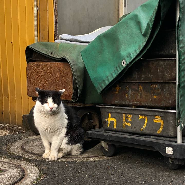 7c9948b9 7470 4f1c b00e 736ee3201d82 1617083128964