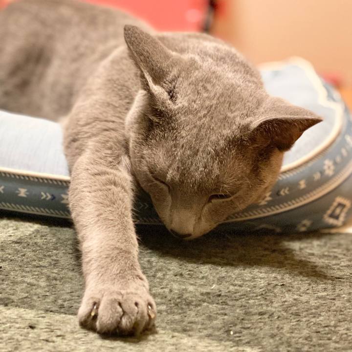 7c994e5a f4c3 4bf8 b828 1b9c3ee7393e 1630852826509