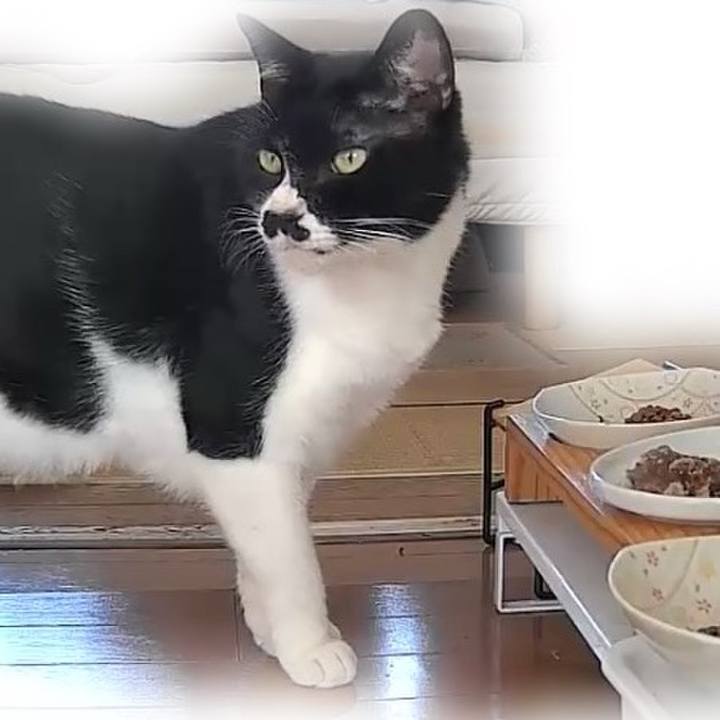 7c9957e5 74ea 42a1 b870 d3324615405a 1763689964354