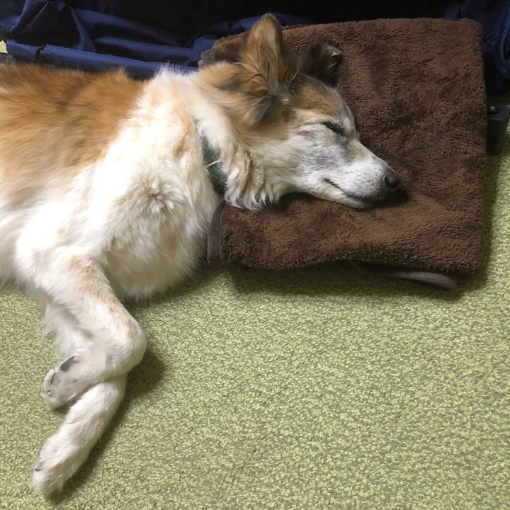 7c995ab6 9a19 4587 9e30 ca868f71b1f4 1542006643834