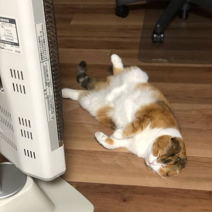 7c996f77 d308 4934 81b0 600f4faefa60 1607154933333