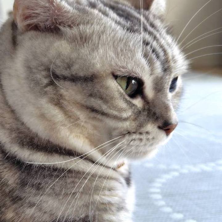 7c99d156 ad6c 40bb 9f68 5a738ee95b57 1758752627423