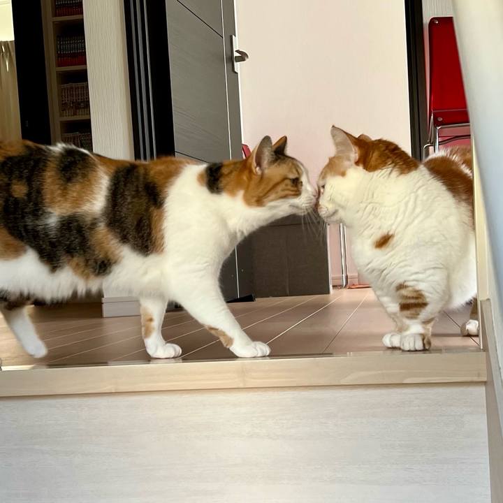 7c99e265 eae0 4133 a569 465d3bd9d971 1765337491884