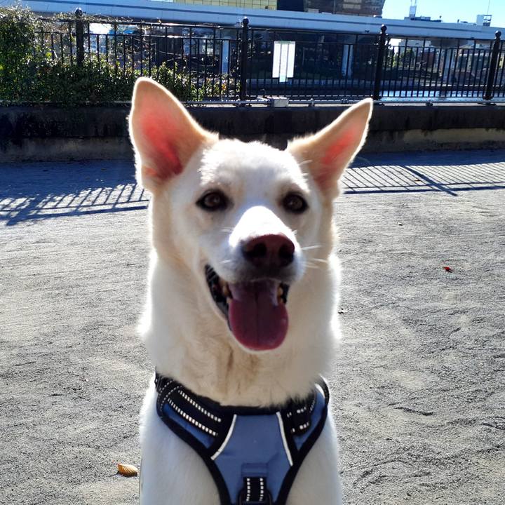 7c99e862 9fe4 4766 9849 3f3879d2e768 1636780996392