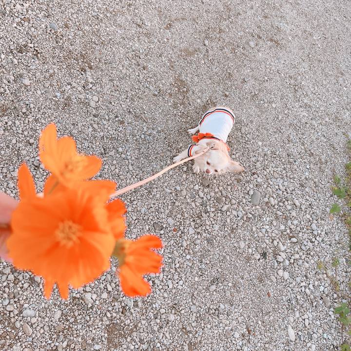 7c9a51fd 92ec 431f a907 a6dcbe8238e2 1662975819706