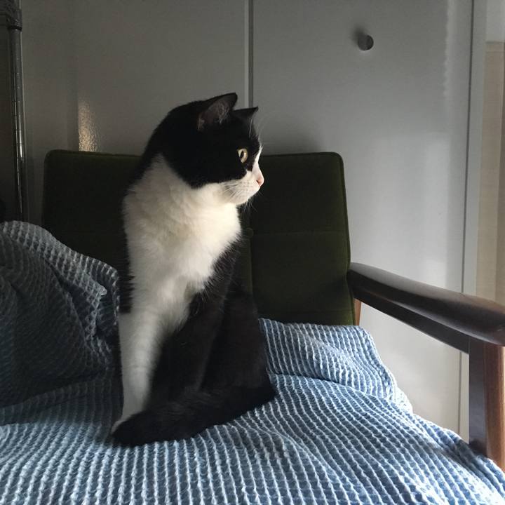 7c9ab612 dfa7 4805 a05b 3f38f576d2eb 1566689393206