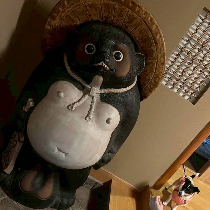 7c9ac47f d319 438f a995 fba811f92f76 1761574730035