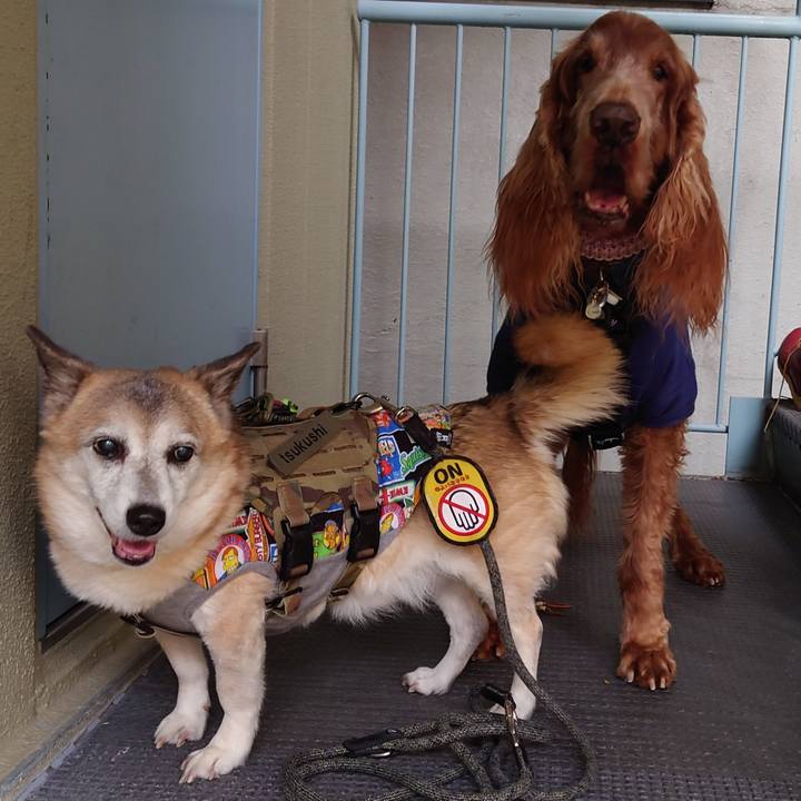 7c9b00bb 91f8 40f4 a72d 5b786a5baa79 1705145017474