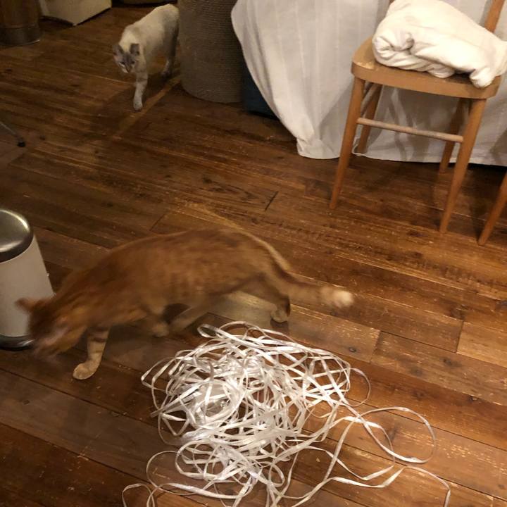 7c9b27a6 7ae9 4b0a b459 c5e3a0213207 1735683934919