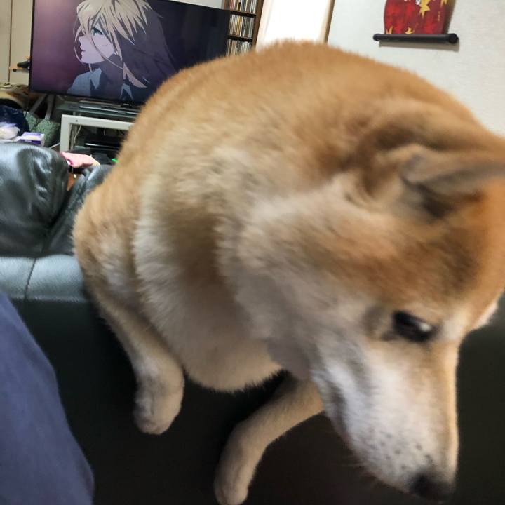 7c9b3321 d891 4728 9b8a f02b168f3627 1606117562236