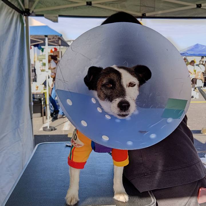 7c9b487a 9028 4242 9108 ed3caabbb3e3 1670147005241