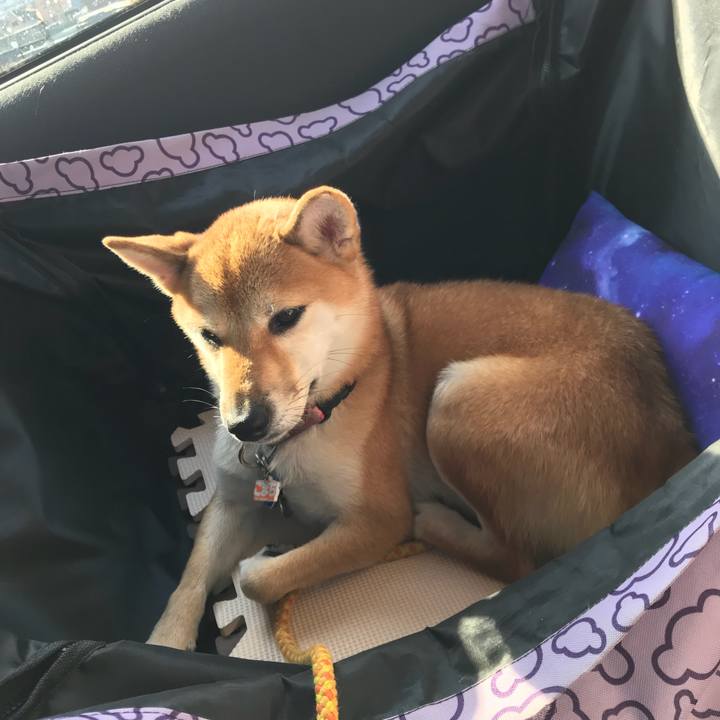 7c9b60a6 8703 4f8b b183 e3b4aeeda2ff 1541947050177