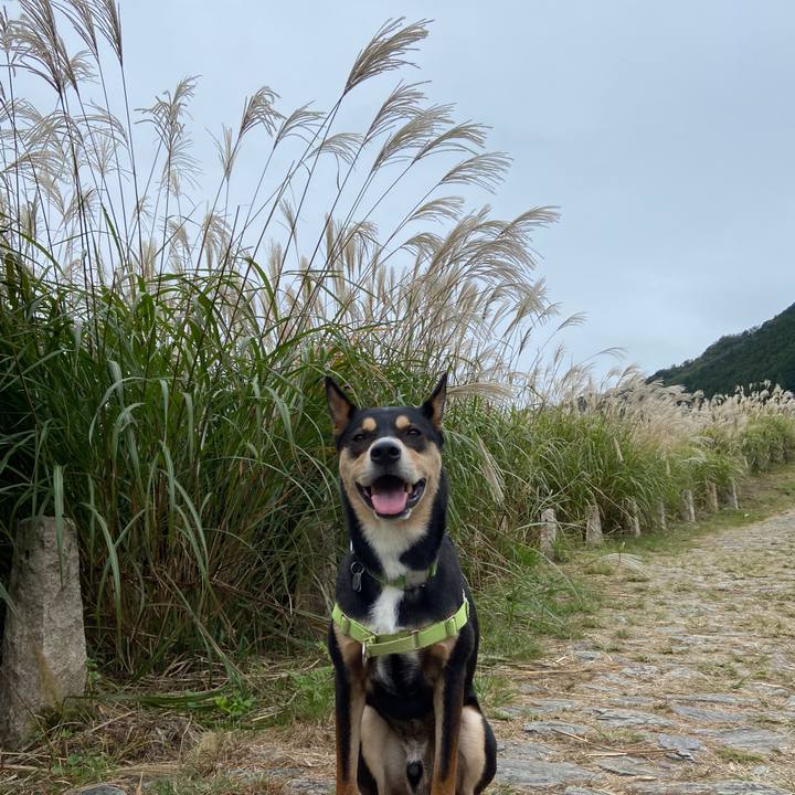 7c9b77af 4267 45e2 8864 80aed33aea75 1634557274314