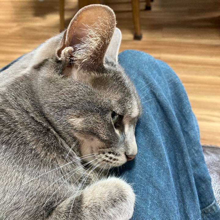 7c9ba3b3 dd94 4d60 96bd 43d46287cefb 1714316284977