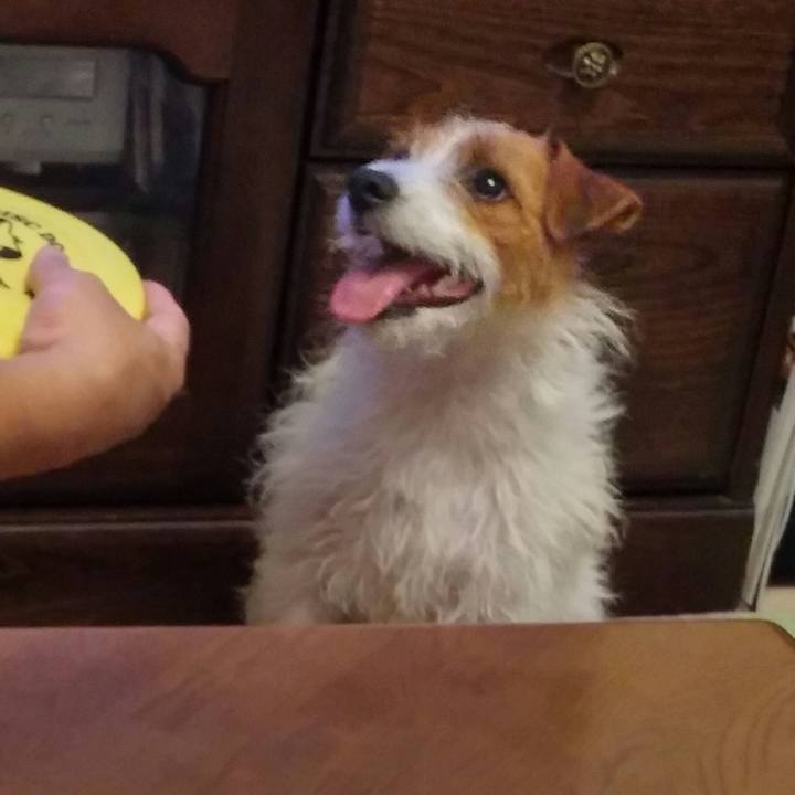 7c9bb1e6 85e4 4b69 ad23 8c7a0d857c7c 1536669564187