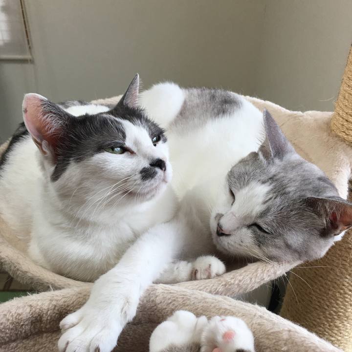 7c9bcc44 3f83 4781 a155 cfeb6ae0f890 1582075265667