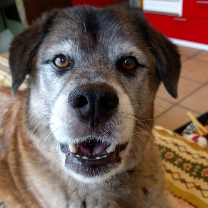 7c9bd082 a3d2 45e8 a63a 1187d9f26099 1531813990503