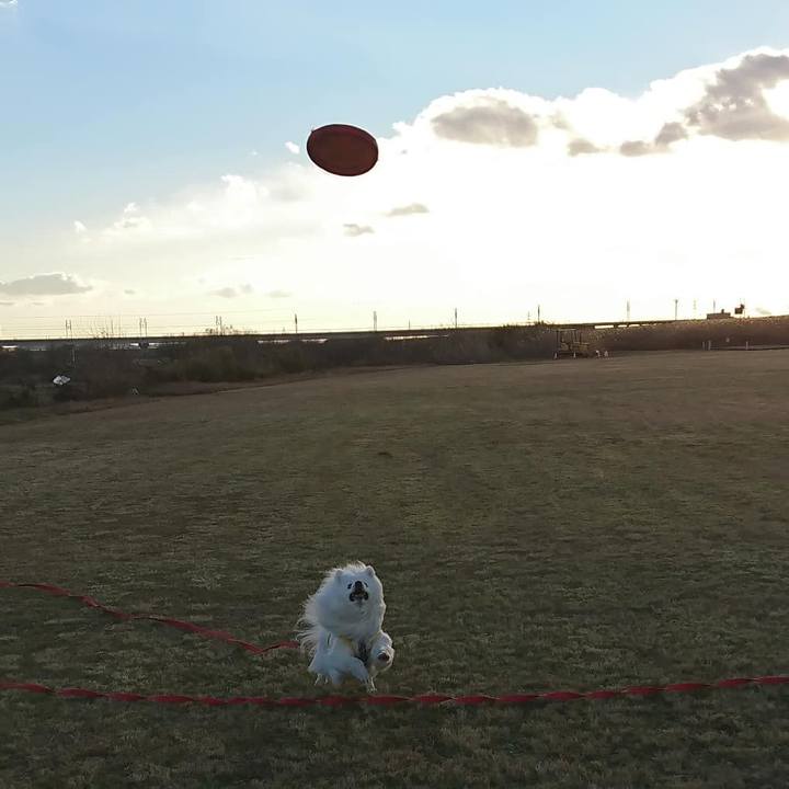 7c9bd12a e3c1 4aea a800 e4444bd4dbdd 1610181457082