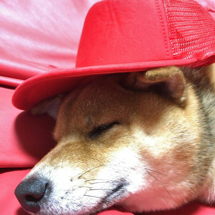 7c9bd230 89f1 4c47 9841 0268ba6bfd49 1548764003569