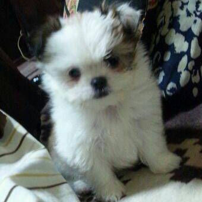 7c9beafc 478d 416d 9edb b7892ed3feeb 1578736535253