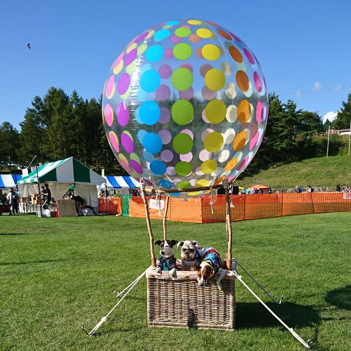 7c9c1a46 9084 45e1 ad18 ce0ba461fc4a 1600675616354