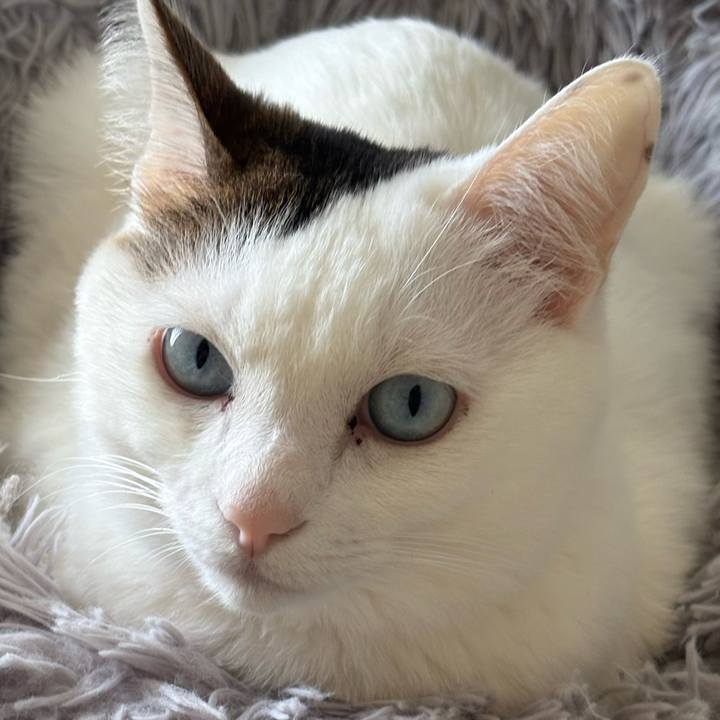 7c9c3490 ca0b 4d17 8b9a f49266b0ed82 1741567036497