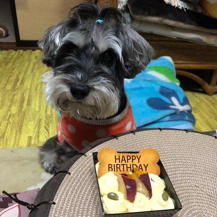 7c9c62d3 9b9b 43b9 a12b dd20ce8db609 1514986847622