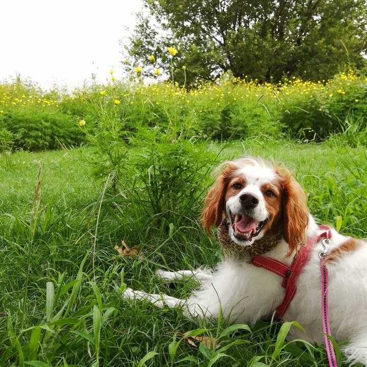 7c9c8331 44c5 4157 84e4 dd09dacd26d8 1599218982907