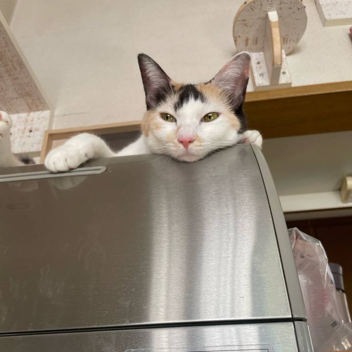 7c9c88ae 0625 419f 8f58 3e5f215f0917 1696297608689