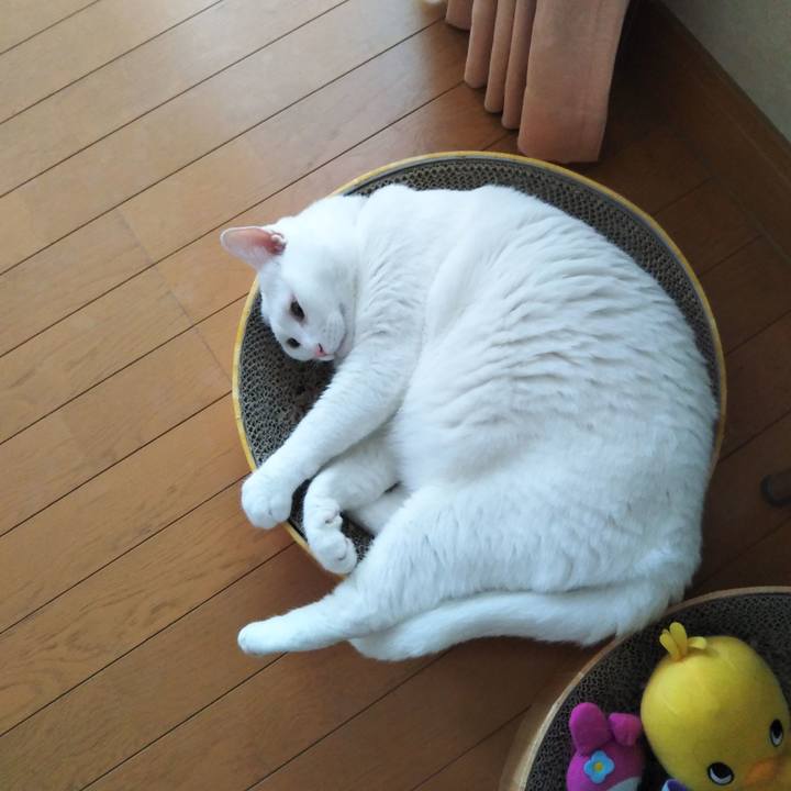 7c9c8c8a 3e18 4ac1 8d44 f4ce282f4f9d 1623808680982