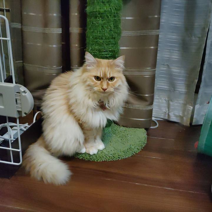 7c9c9dff c3e8 416f b081 af93a24a007c 1711631966605