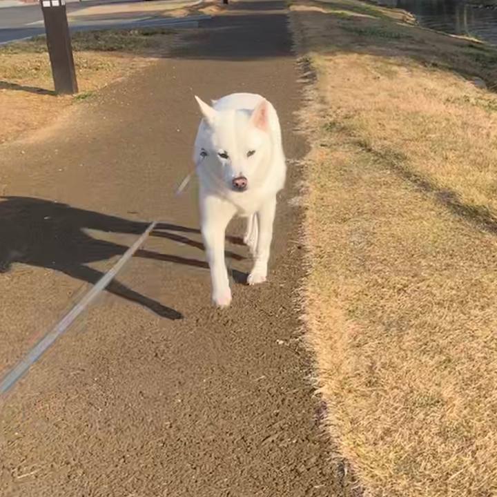 7c9ce15b dca5 4382 a09e 15104039883a 1546084072617