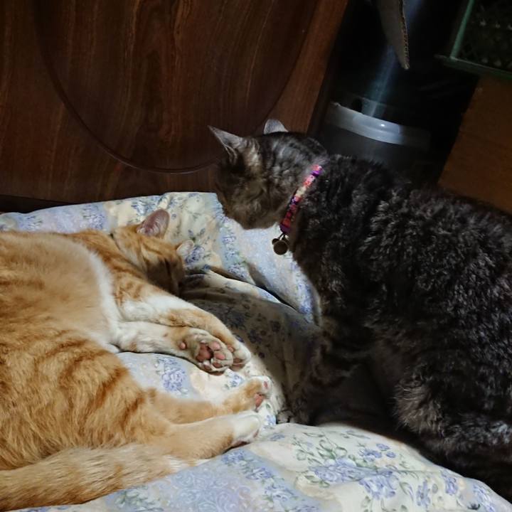 7c9cf549 4884 46b3 8106 d12f79b86985 1582548756010