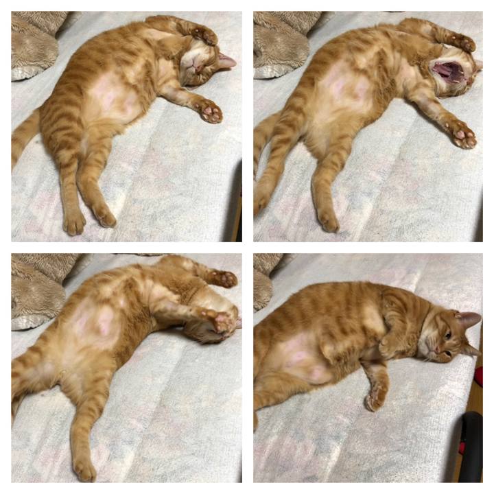 7c9d1265 1c52 471b 9adb 323a22198747 1613841820282