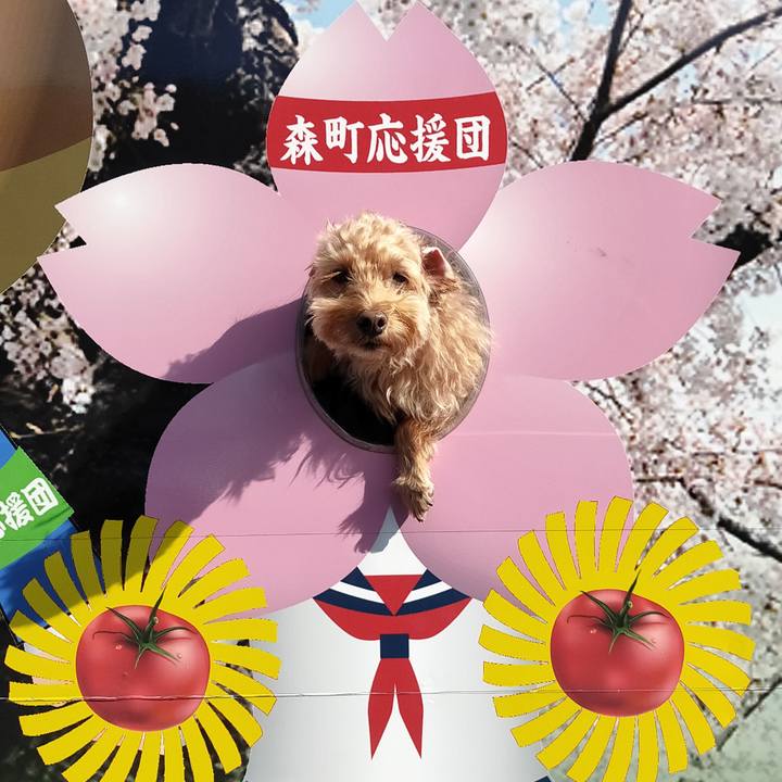 7c9d1c43 a6f1 49f4 842a b6bb73659d66 1603547987848