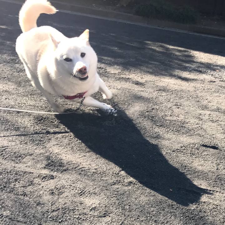 7c9d2bcf 5fa4 4d63 bd4e 3dbec6a61ed5 1512273900742