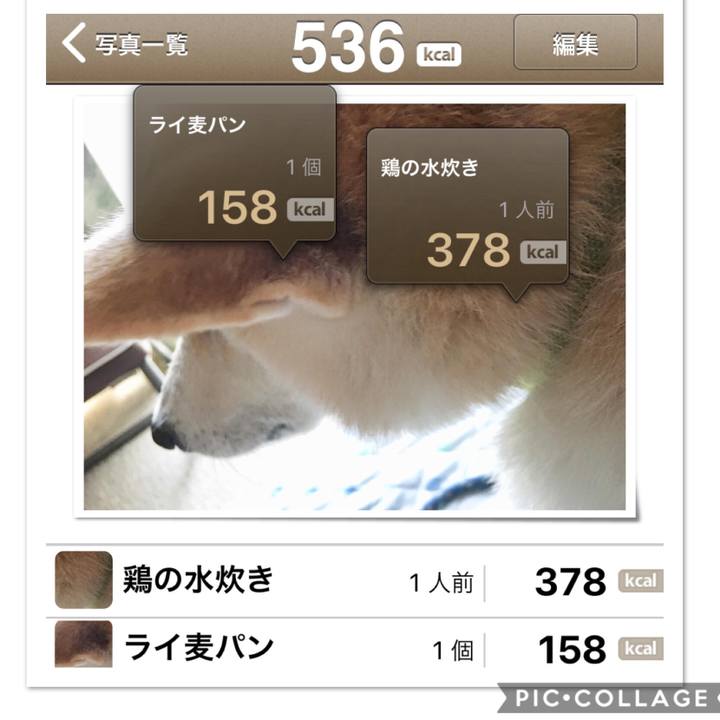 7c9d3211 3567 42c3 9a23 542588d3ccc6 1536422805925